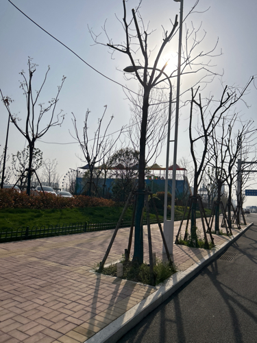 山南儿童公园旅行图片 1