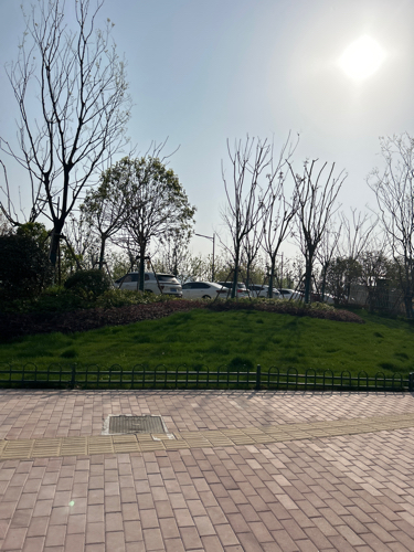 山南儿童公园旅行图片 2