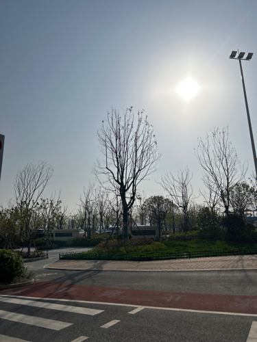 山南儿童公园旅行图片 3