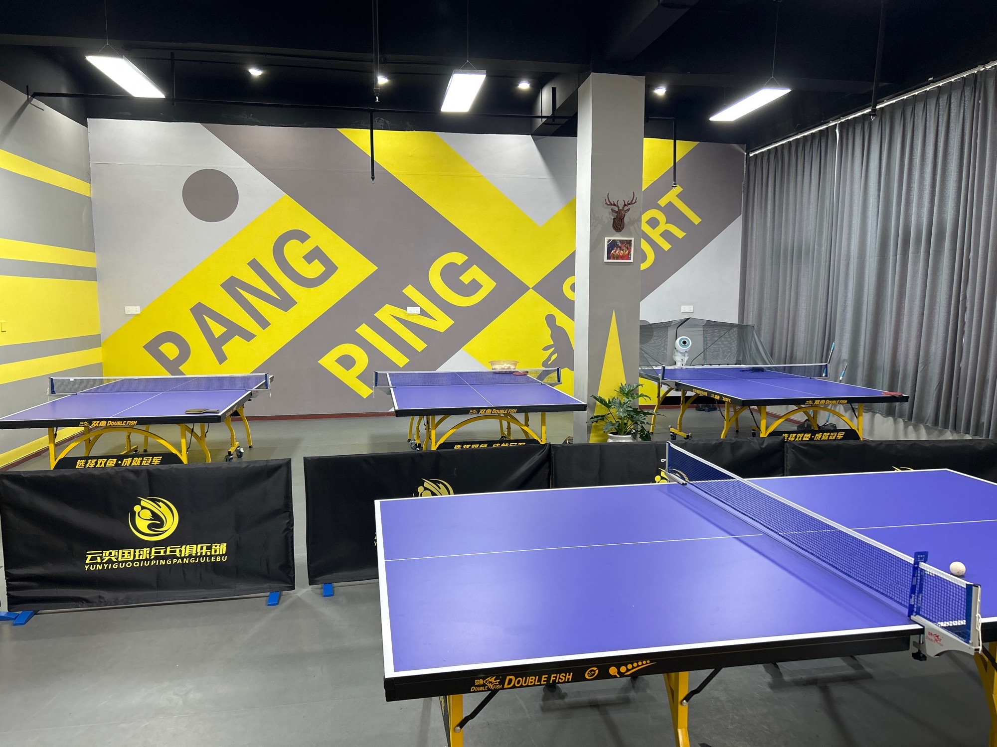 场地封面-云羿乒乓俱乐部