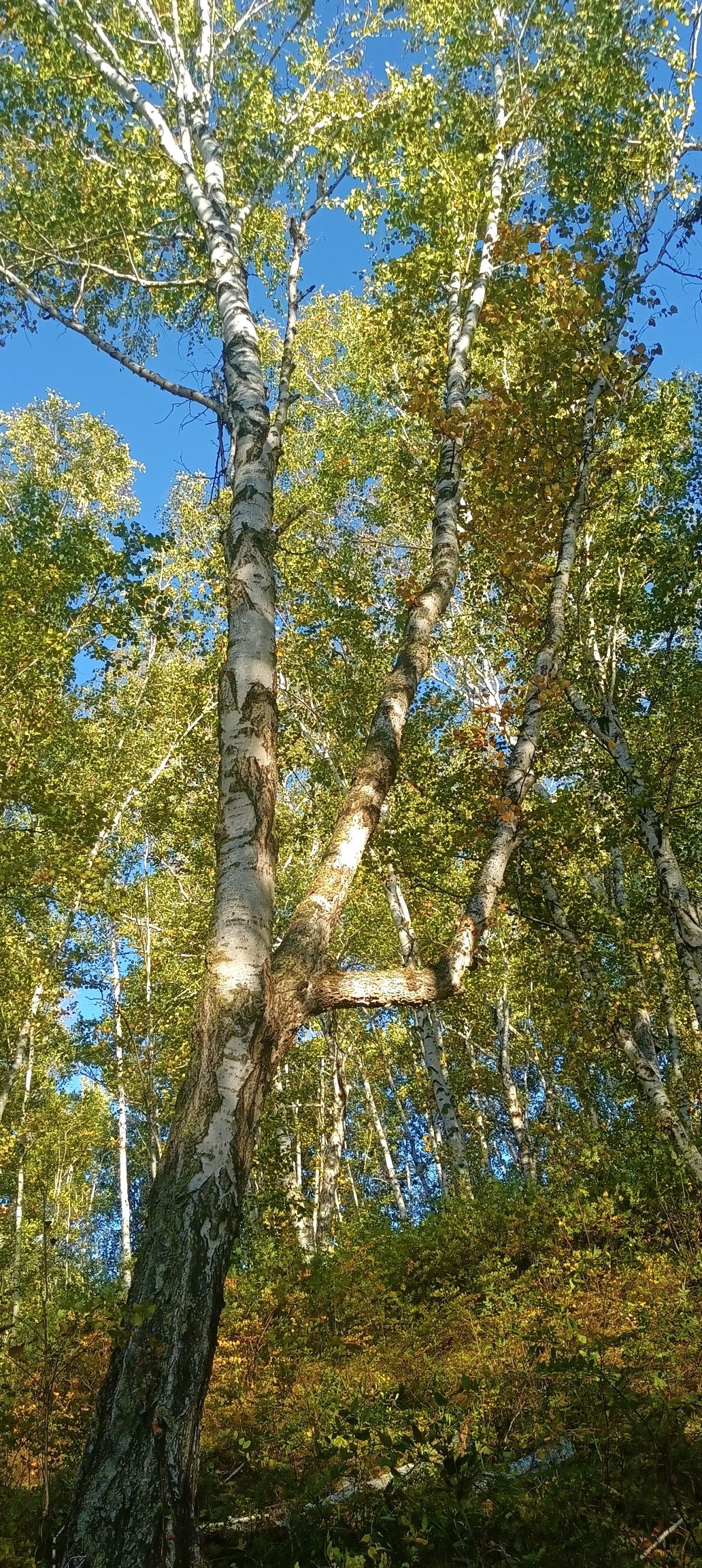 卡鲁奔国家湿地公园旅行图片 2