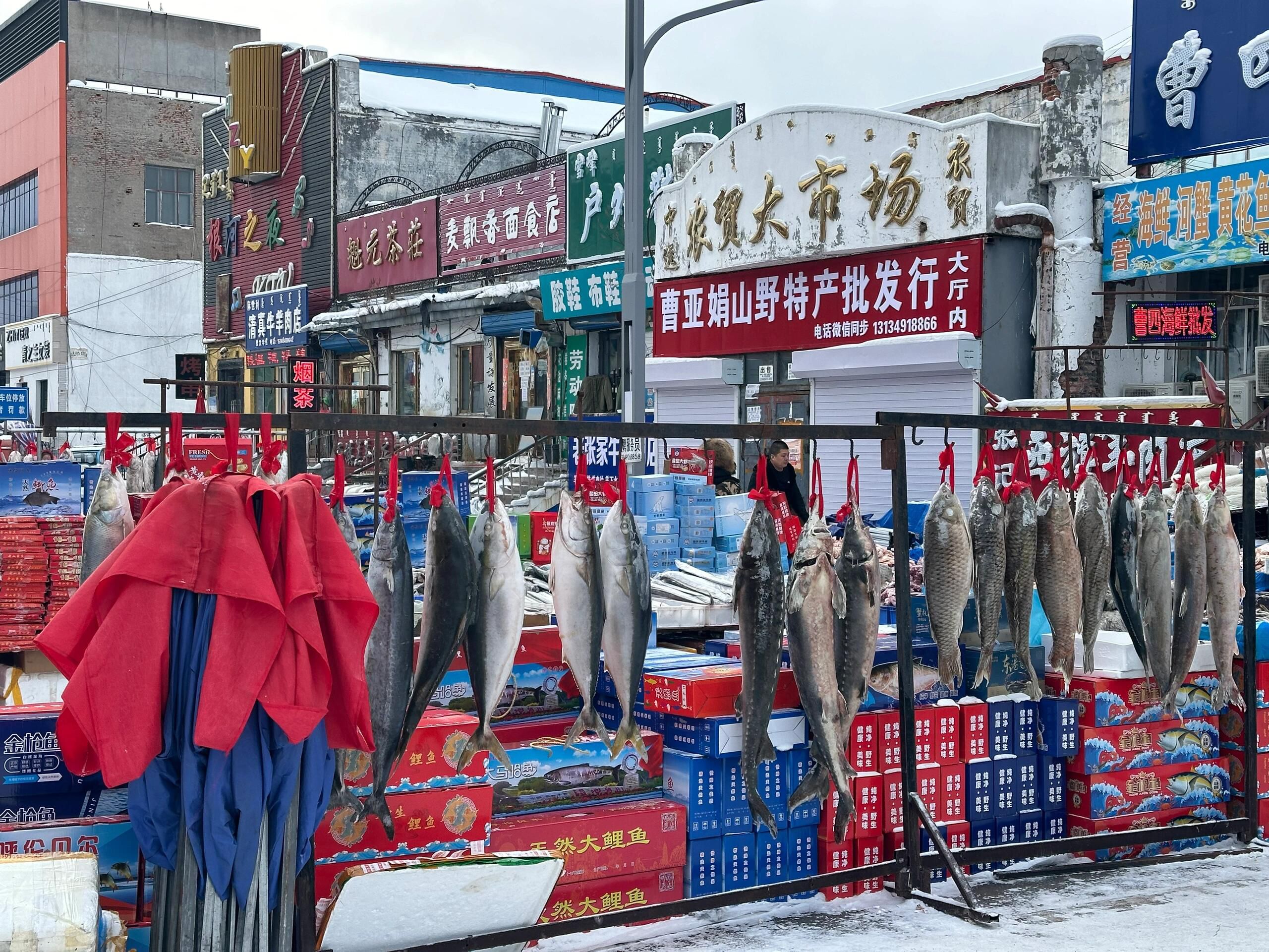 冷极温度计旅行图片 2
