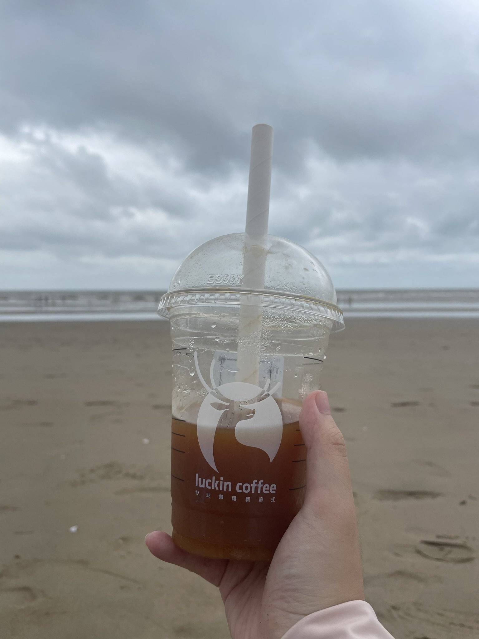 望海楼沙滩旅行图片 2