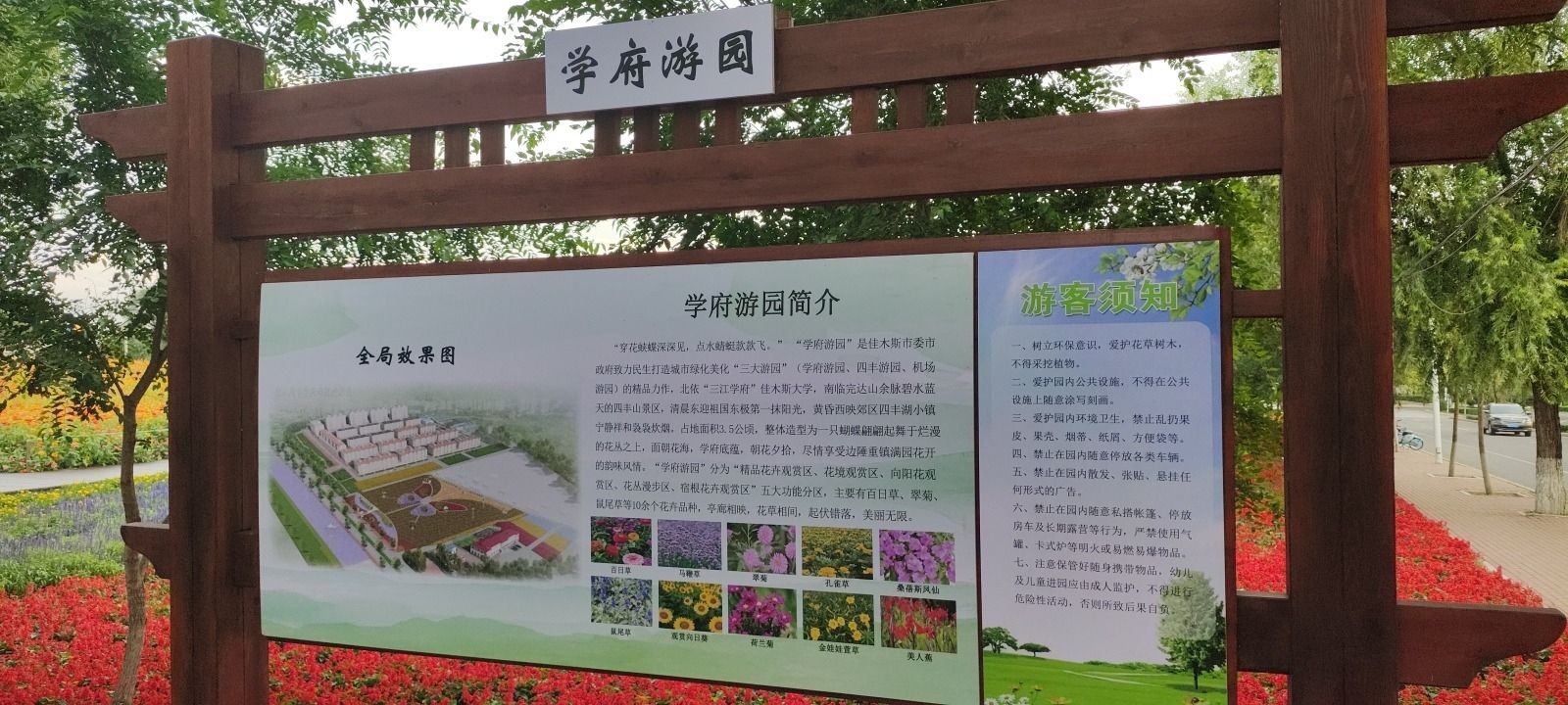 学府花海旅行图片 2