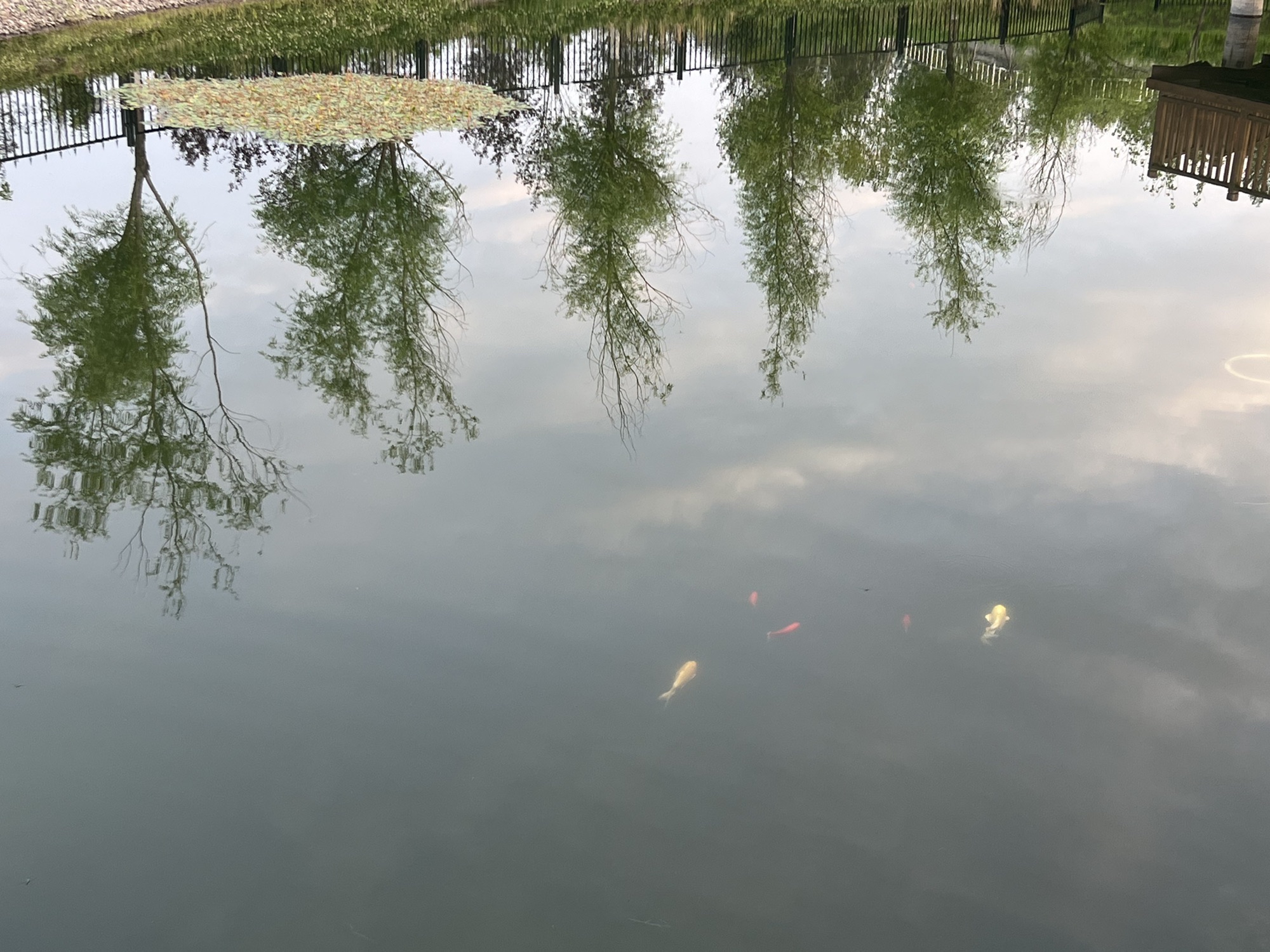 凤鸣湖旅行图片 2