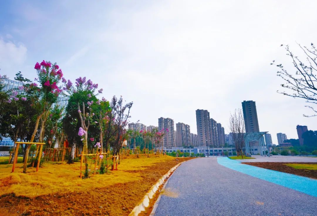 景德镇市市民公园旅行图片 2