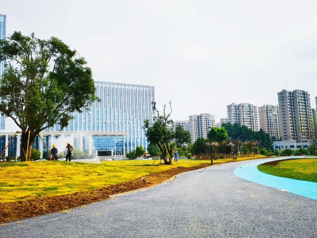 景德镇市市民公园旅行图片 1