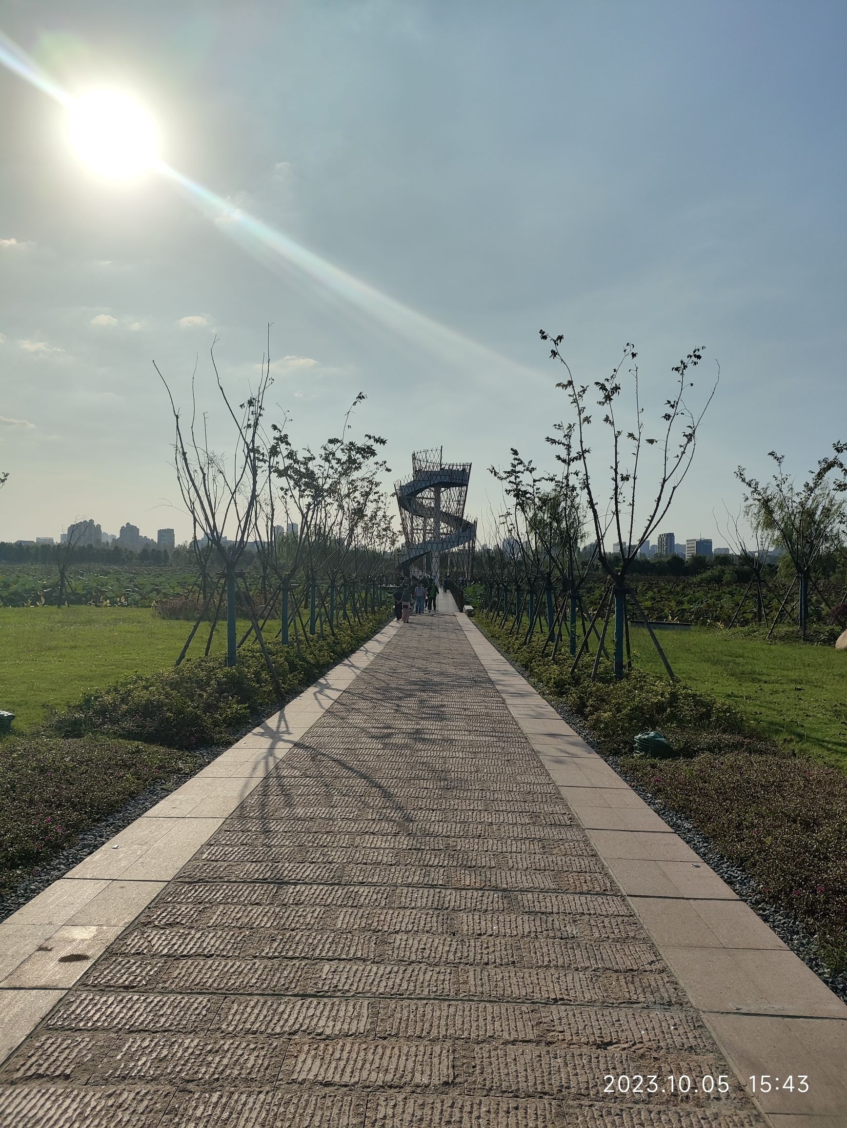 平天湖观鸟台旅行图片 1