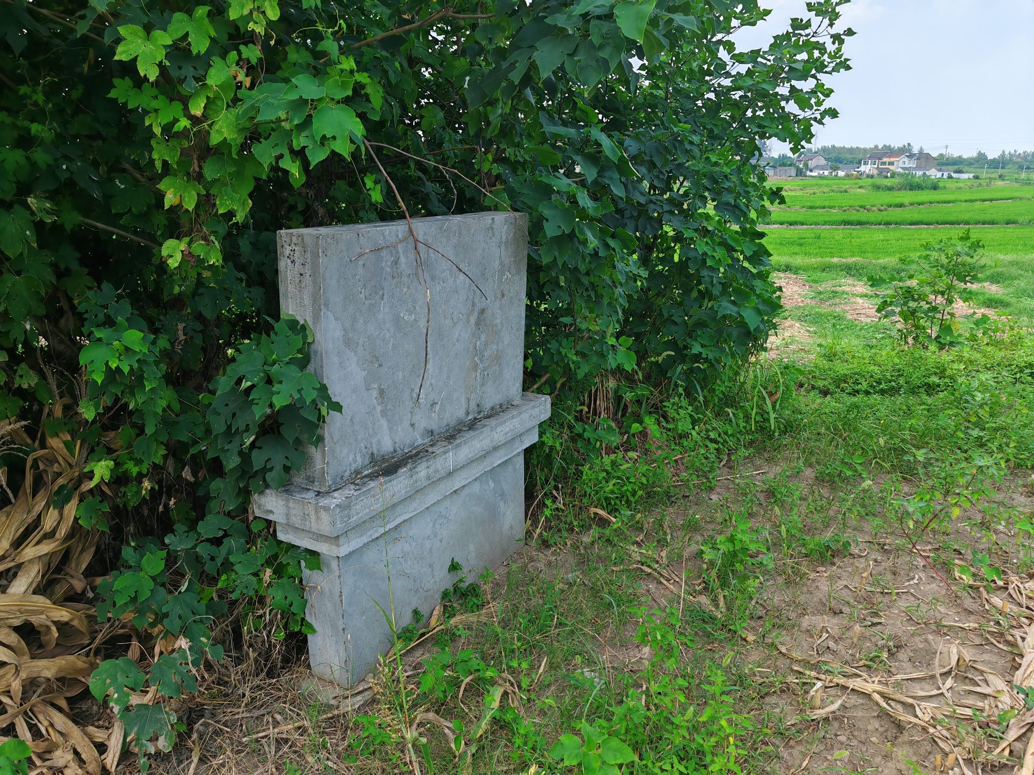 程桥大墩子古文化遗址旅行图片 1