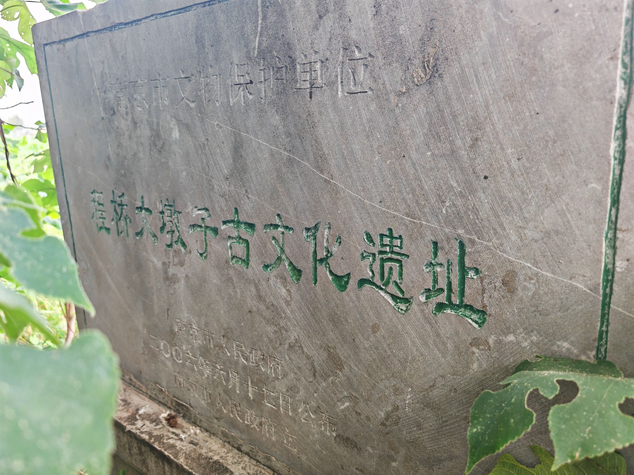 程桥大墩子古文化遗址旅行图片 2