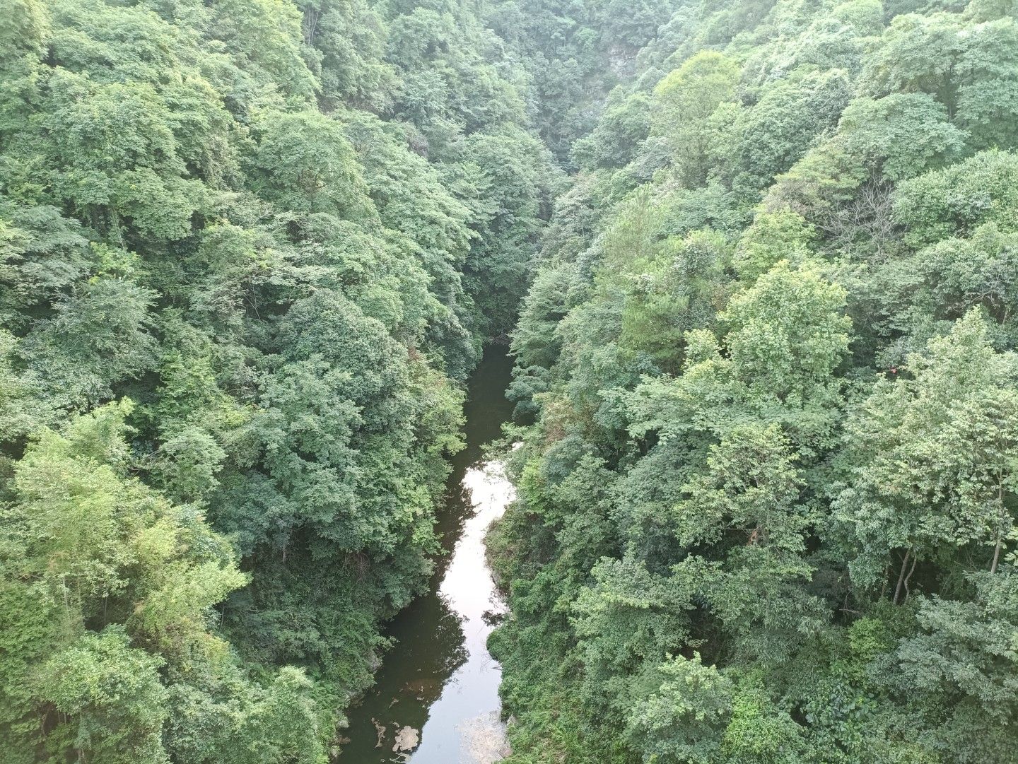 洛口山景观区旅行图片 3