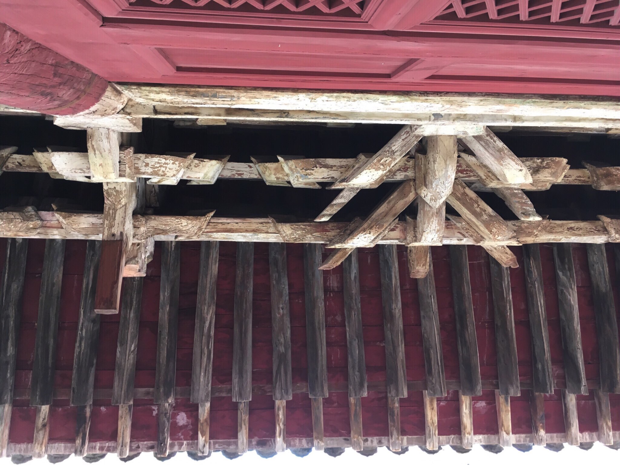 西关三圣寺大殿旅行图片 1