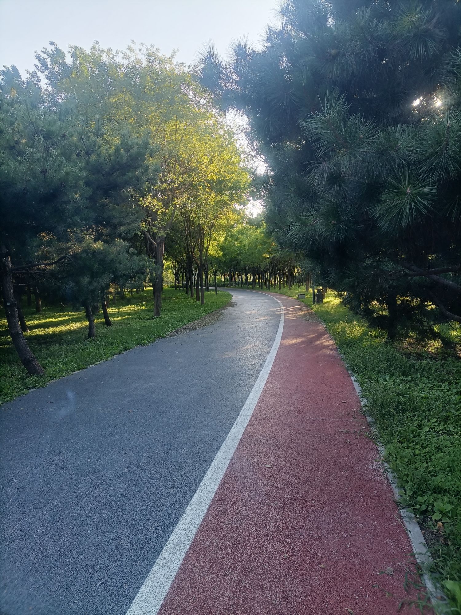 场地封面-马驹桥湿地公园-露营地