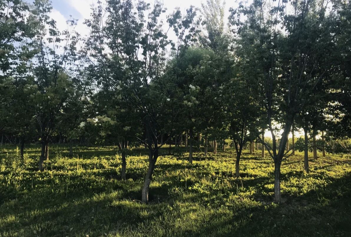 滨河公园旅行图片 2