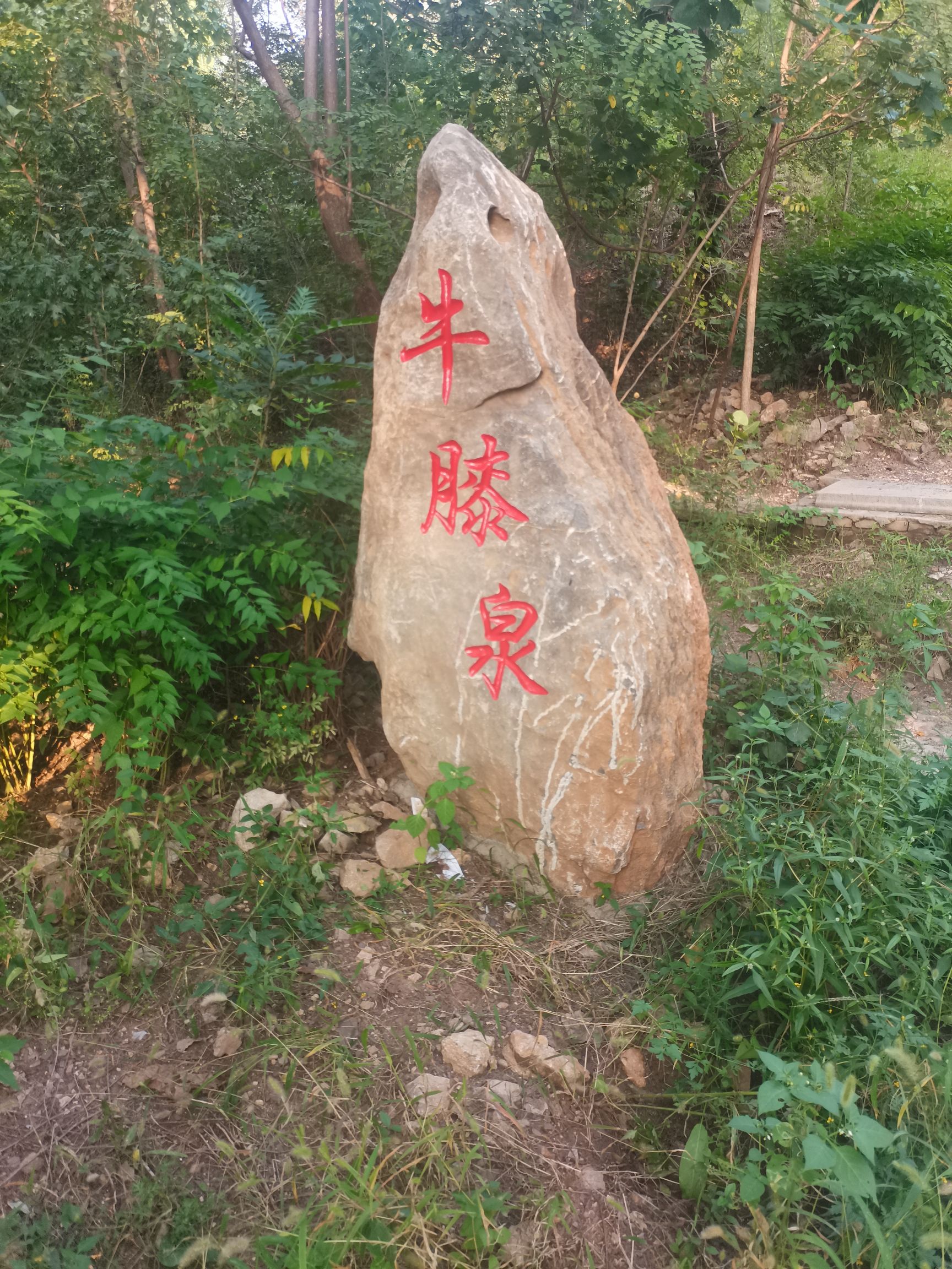 牛膝泉