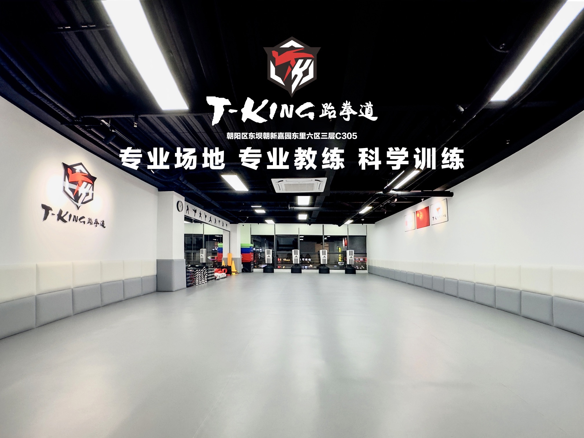 场地封面-T-KING跆拳道
