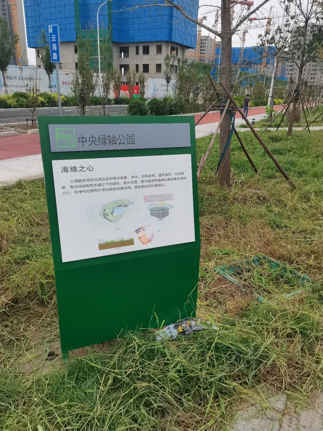 中央绿轴公园海绵之心旅行图片 1