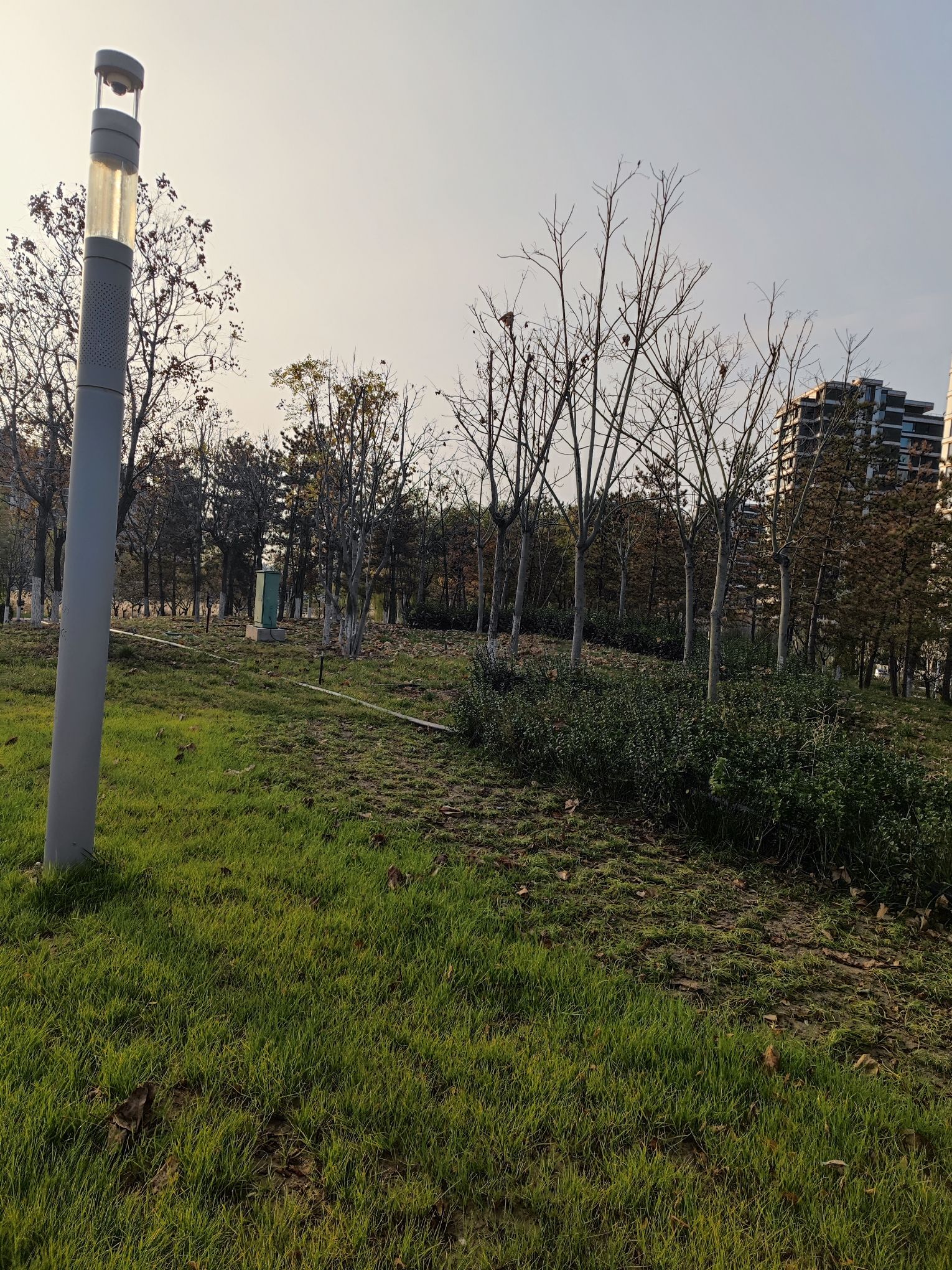 新梅江中央绿轴公园旅行图片 2