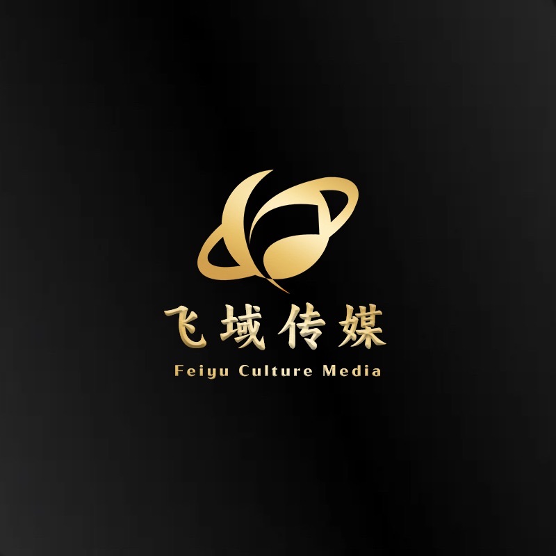 上海飞域文化传媒