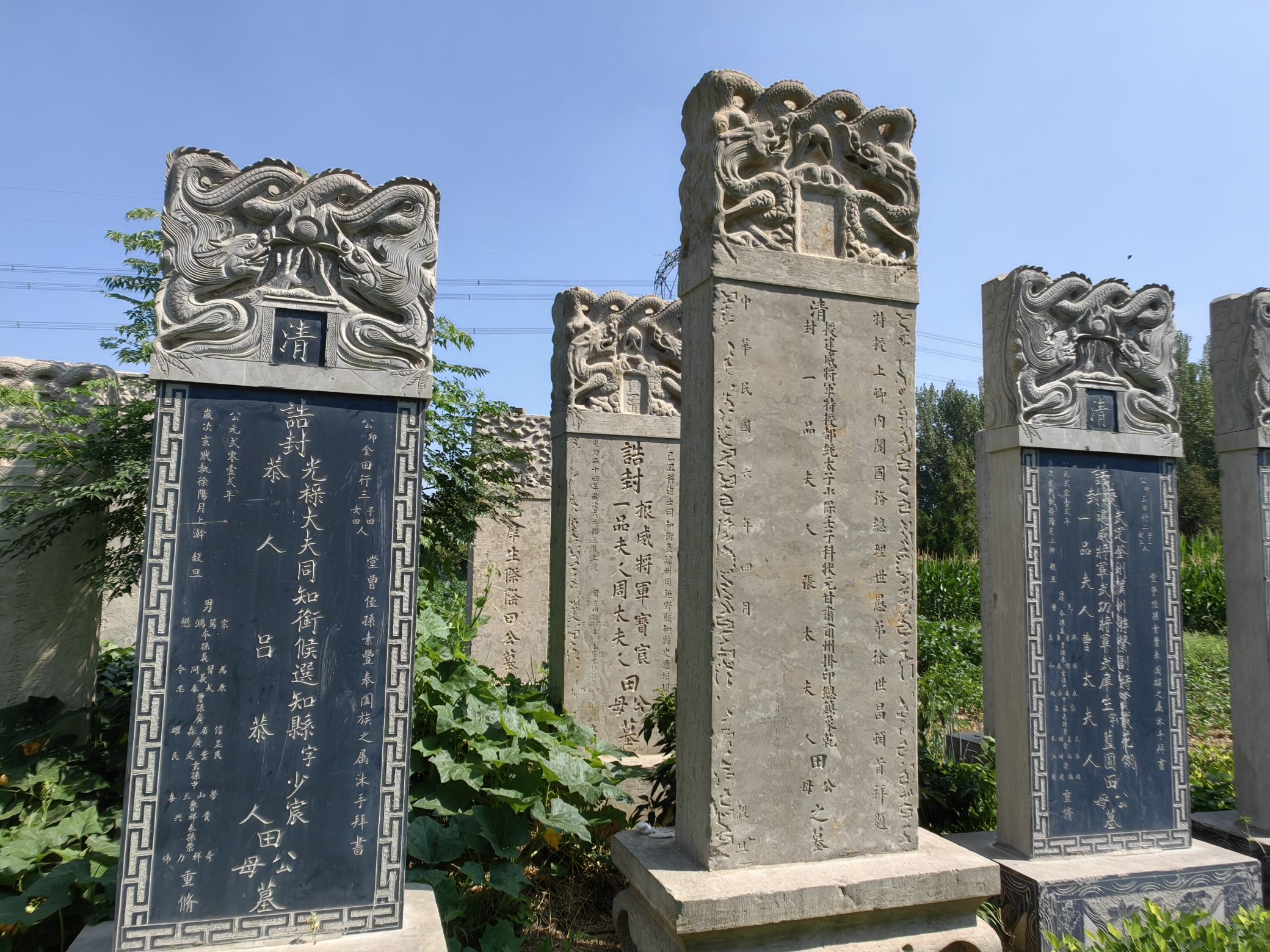 田在田家族碑林旅行图片 3