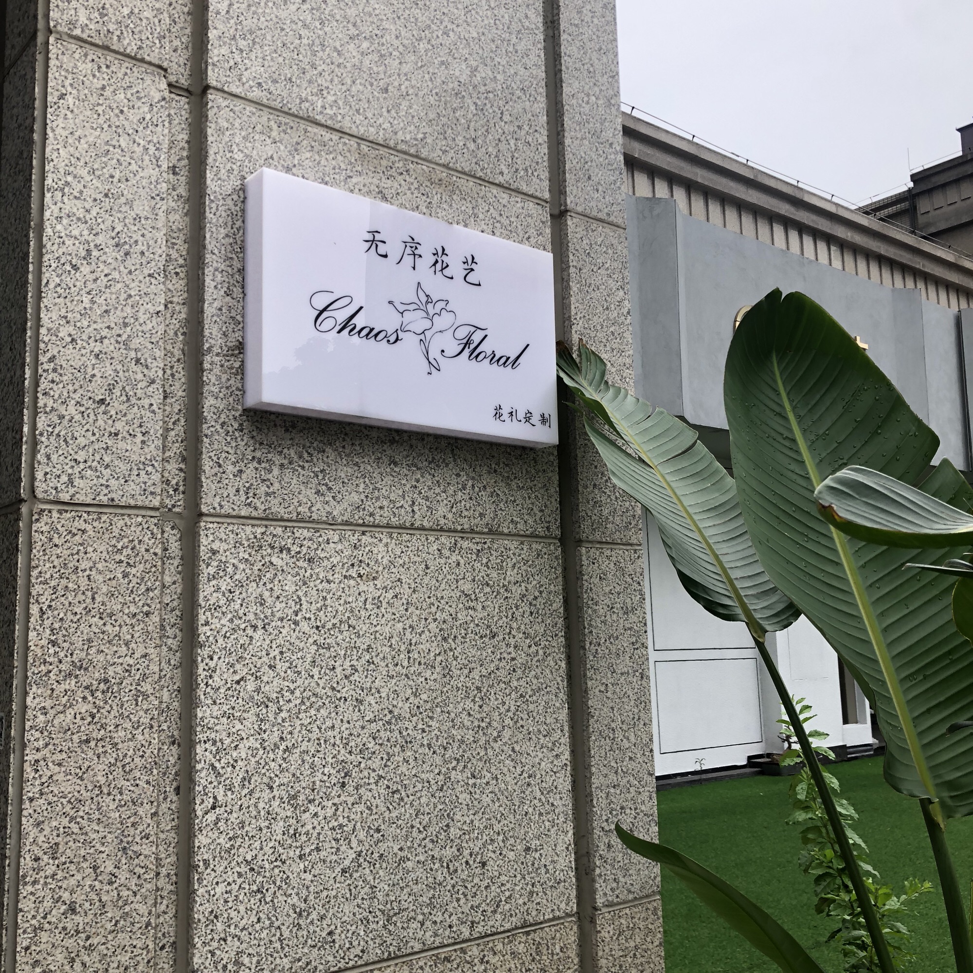 Chaos Floral无序花艺鲜花店