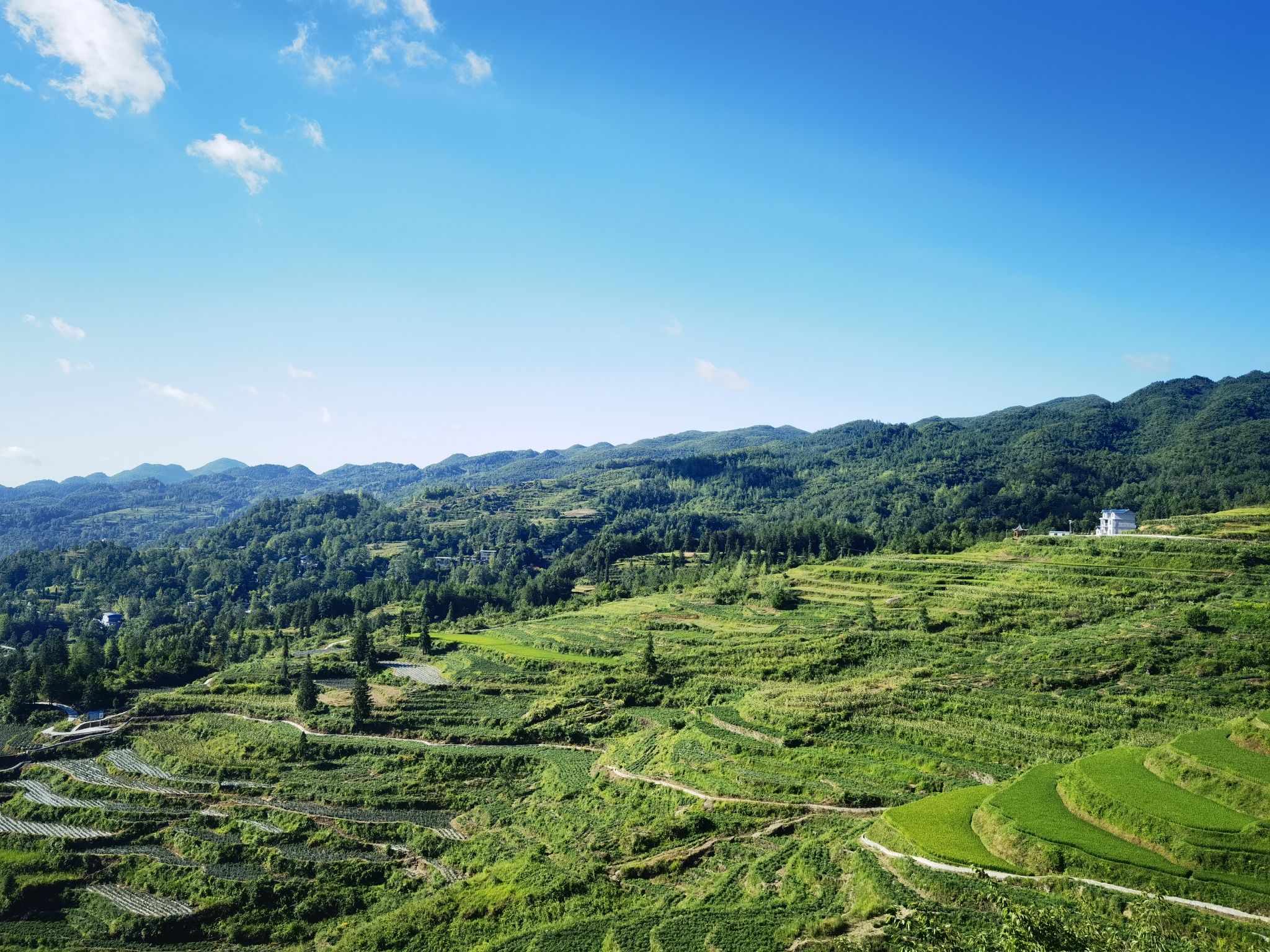 酉阳县丁市镇中坝村千氹田旅游景区旅行图片 2