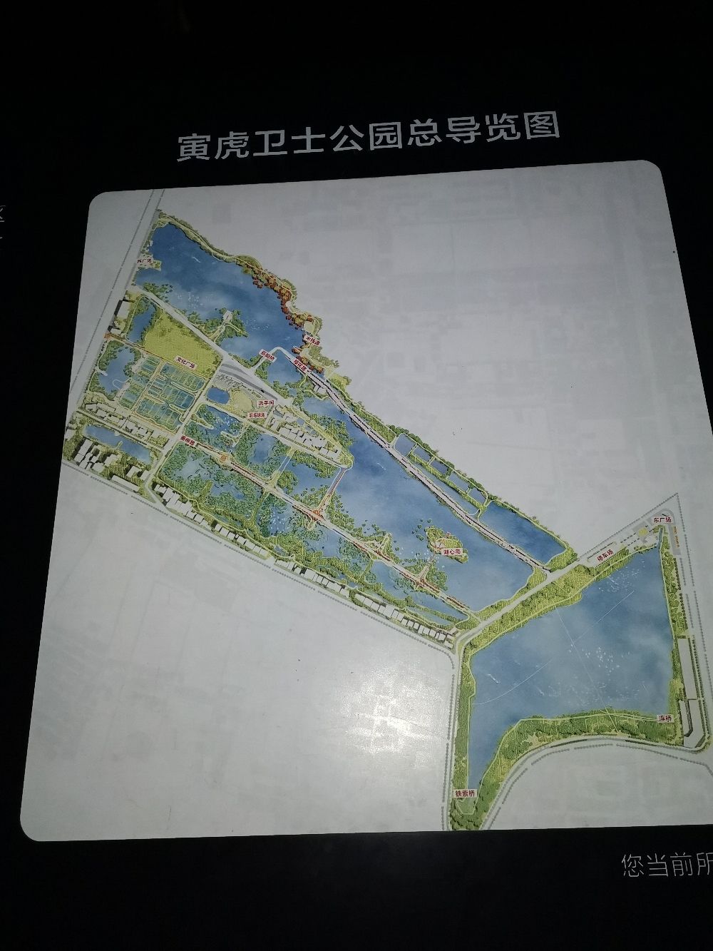 寅虎卫士公园旅行图片 3