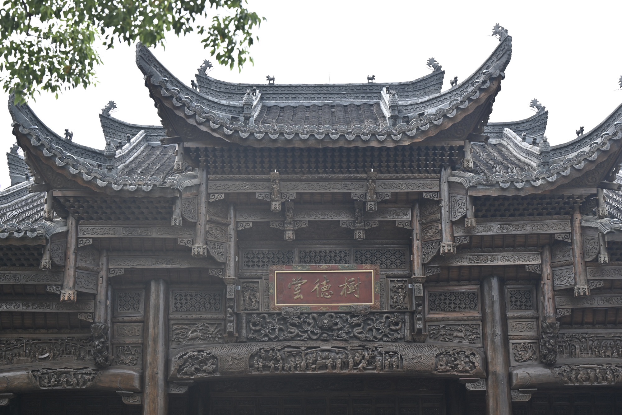 树德堂旅行图片 2