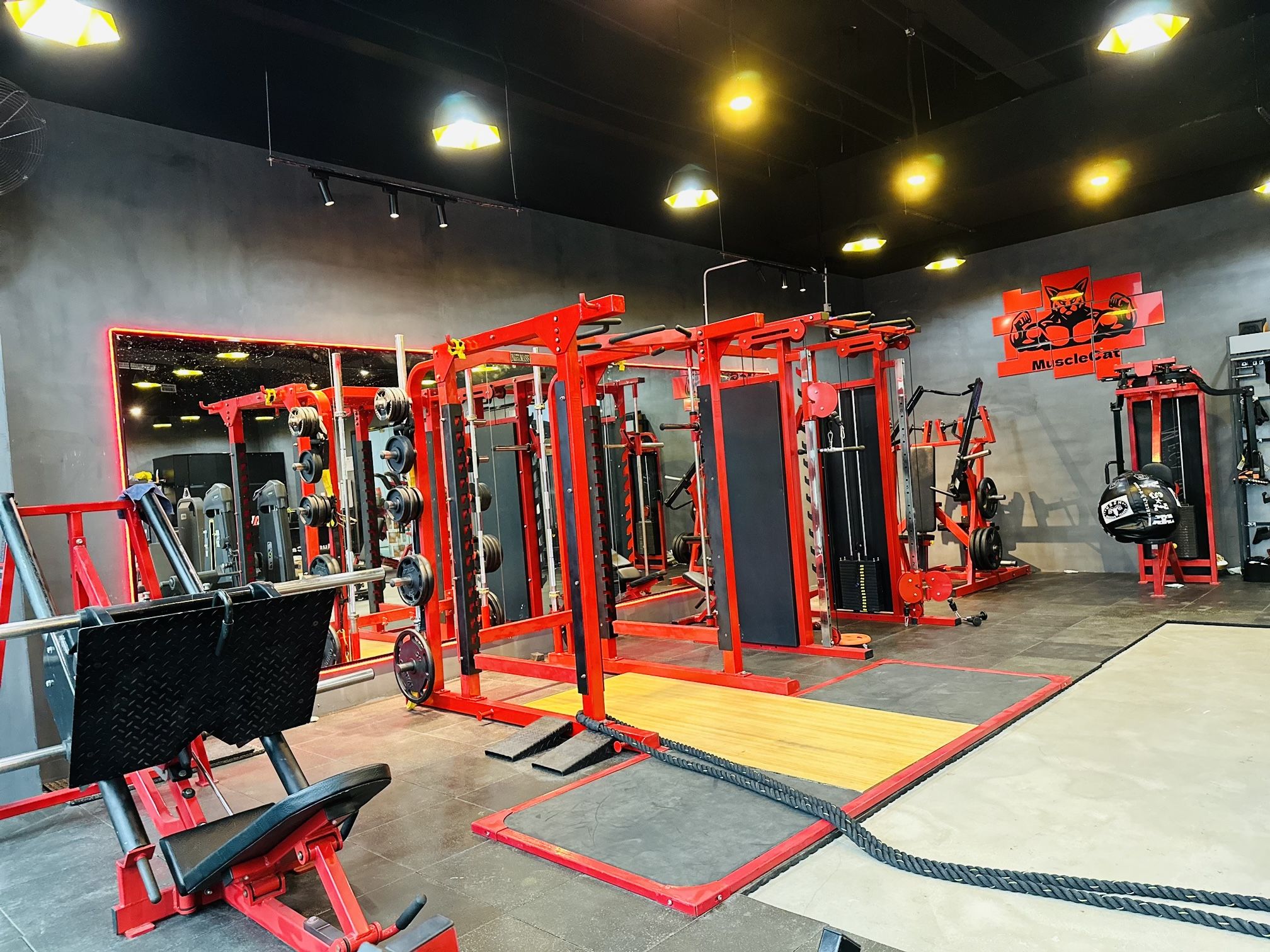 场地封面-肌肉猫健身