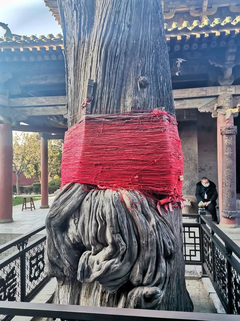 运城关公故里文化旅游景区旅行图片 1