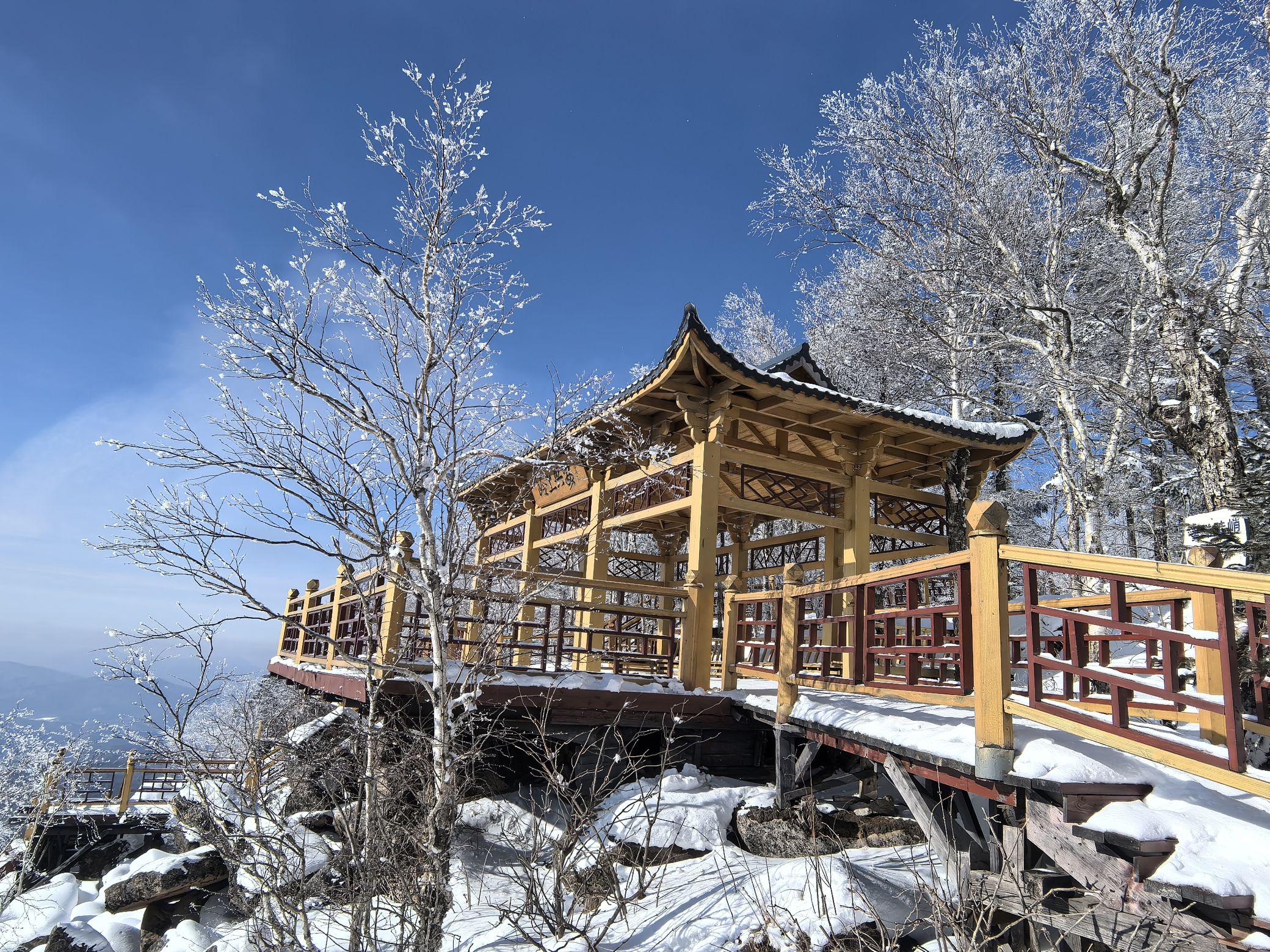 大箐山森林公园旅行图片 3