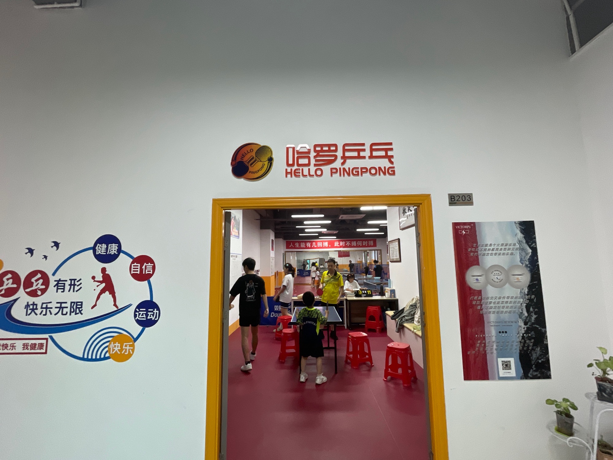 场地封面-哈罗乒乓