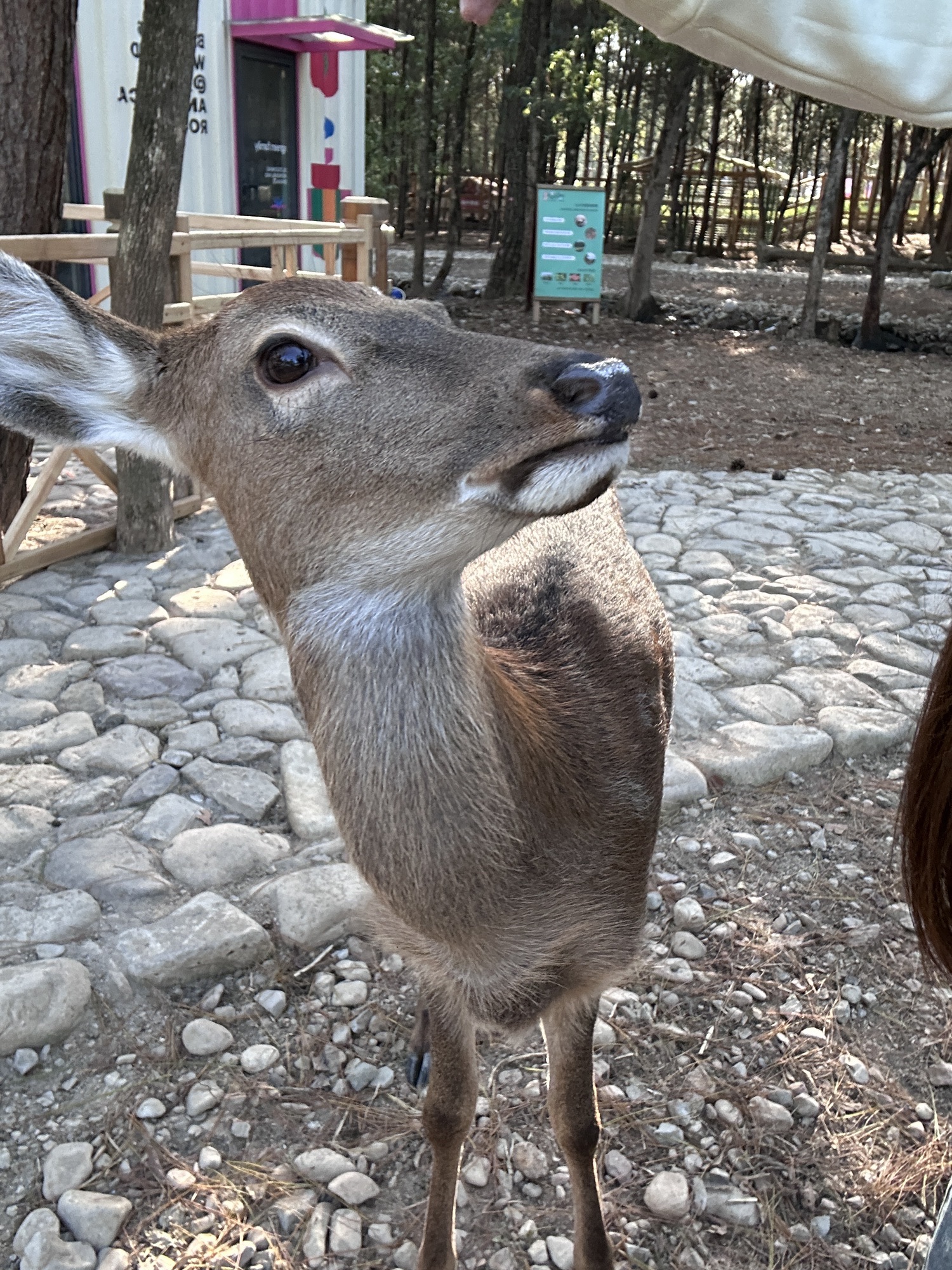 神仙花谷乐园旅行图片 1