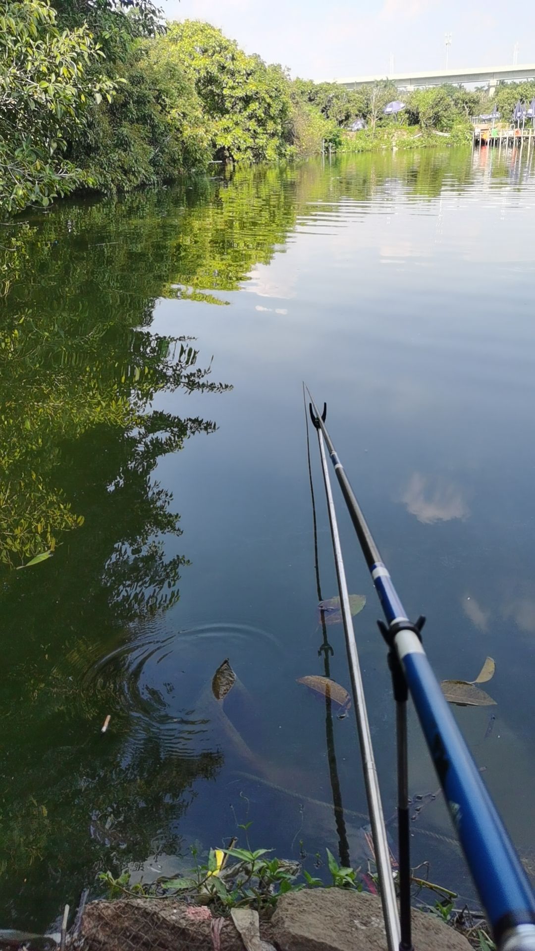 光明鱼世界钓鱼场