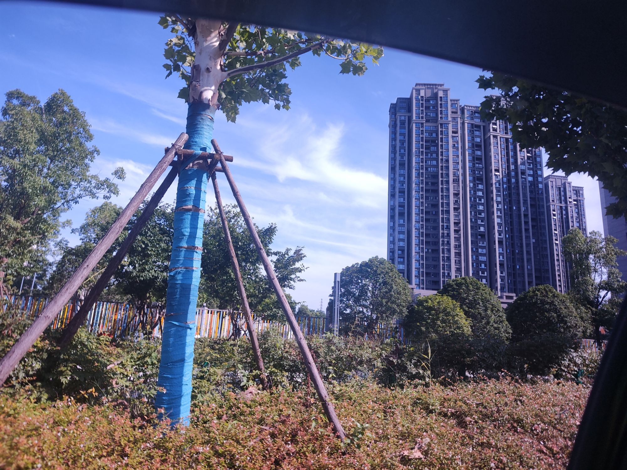 水滴公园旅行图片 3