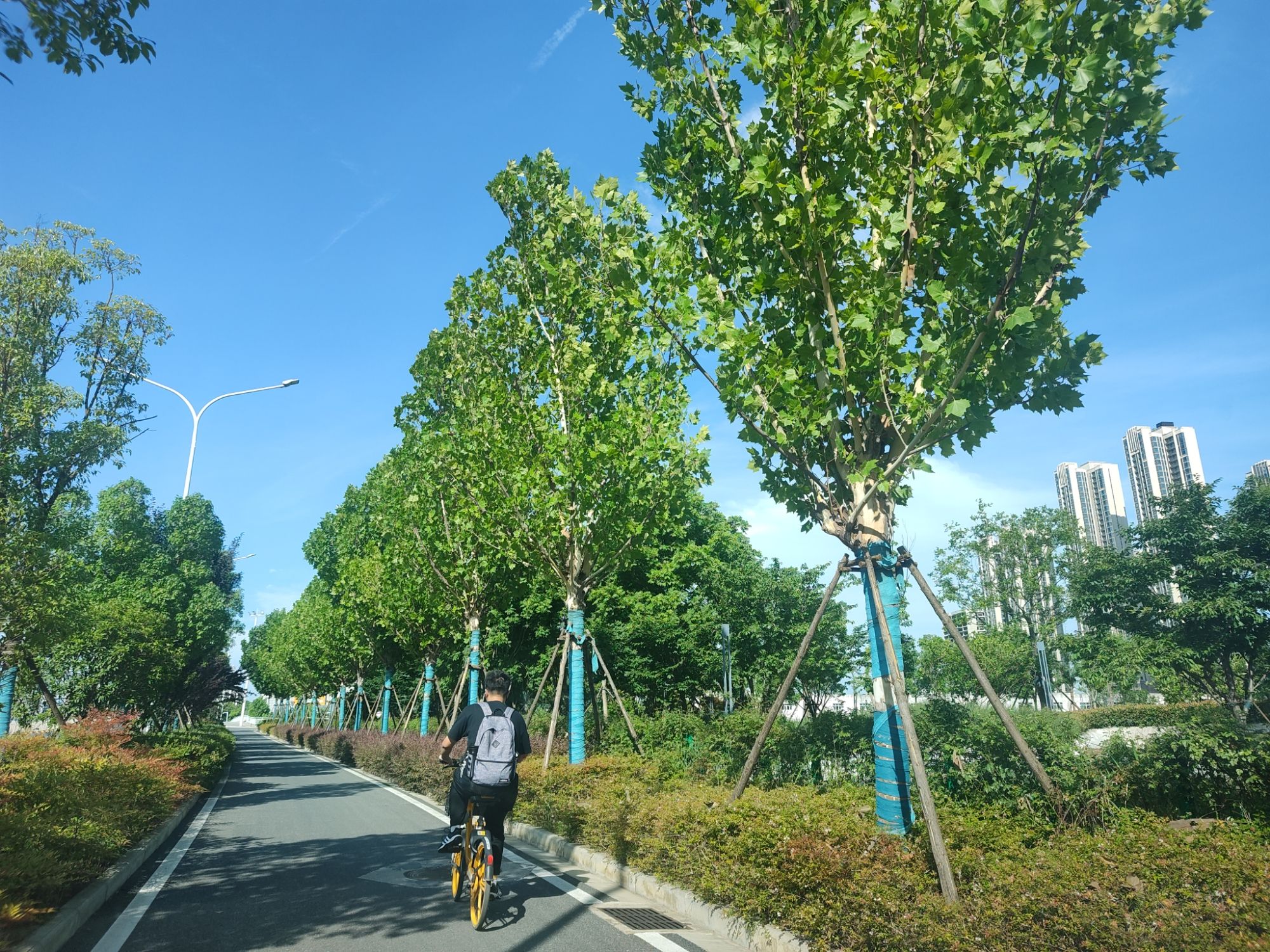 水滴公园旅行图片 2