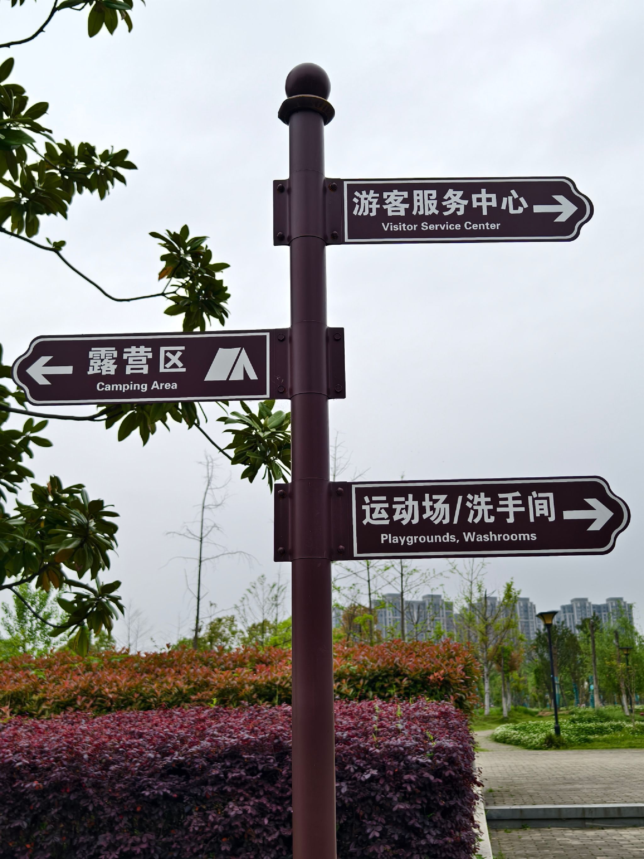后湖公园旅行图片 1