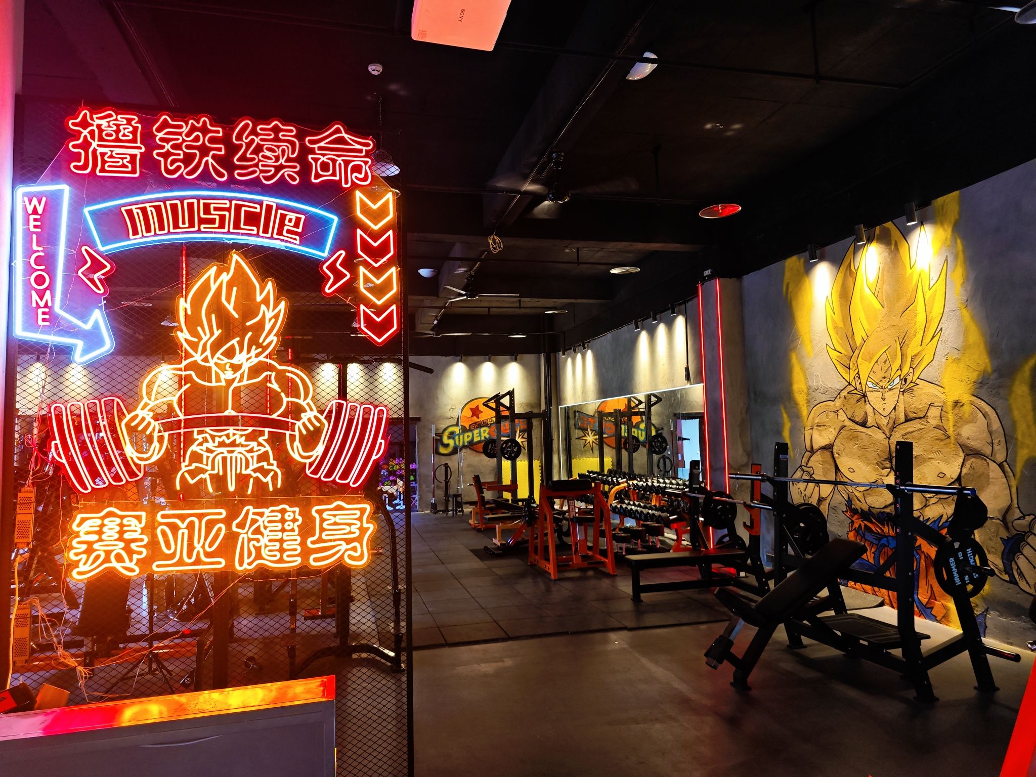 场地封面-赛亚健身24H铁馆(协信龟仙屋店)