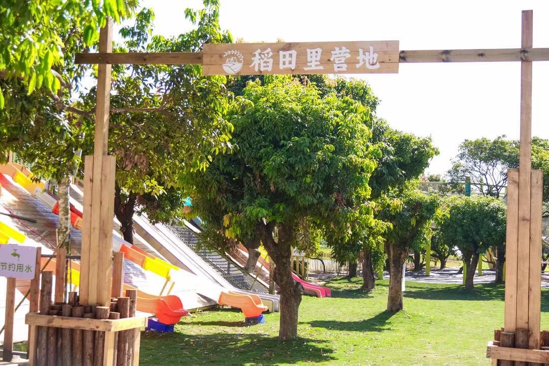 场地封面-倚丰稻田里营地