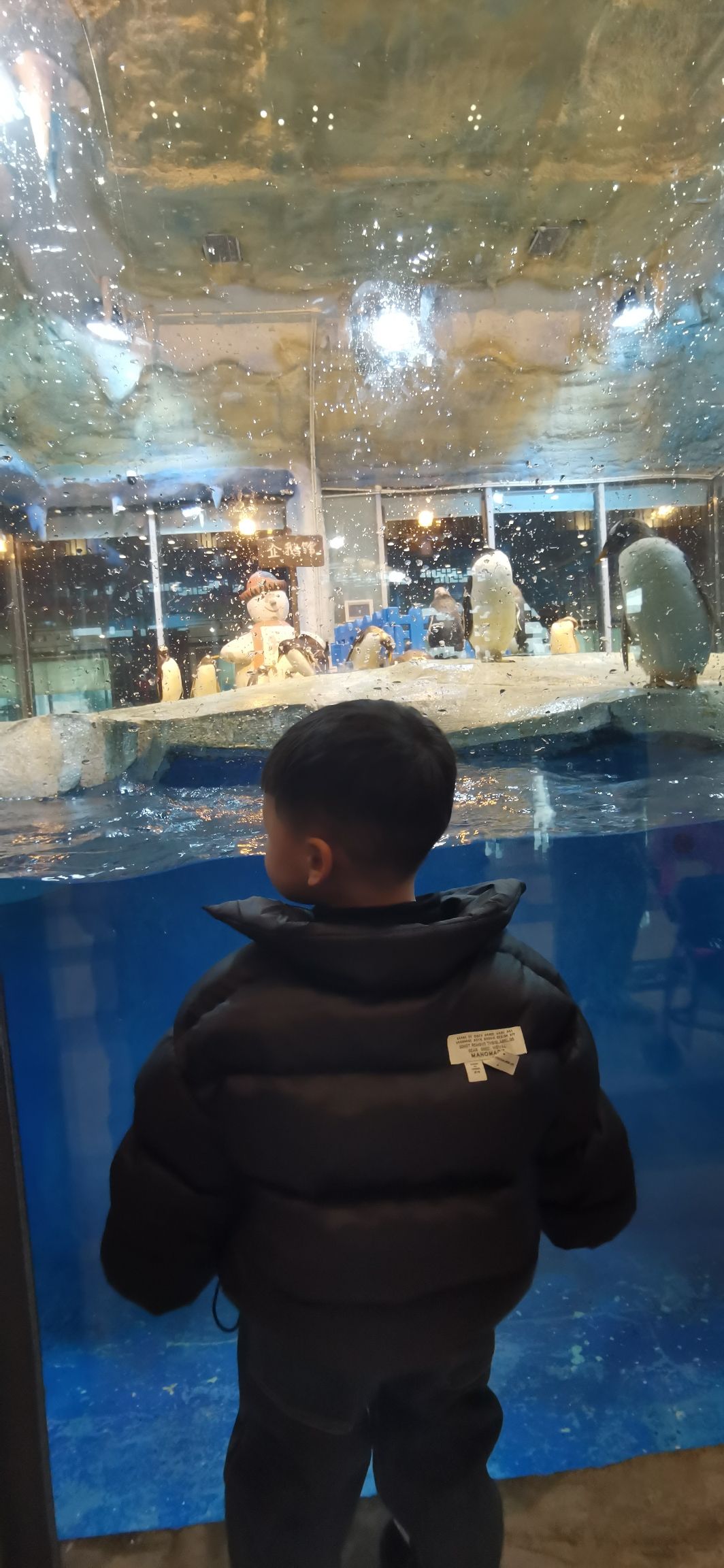 龙之梦企鹅馆旅行图片 1