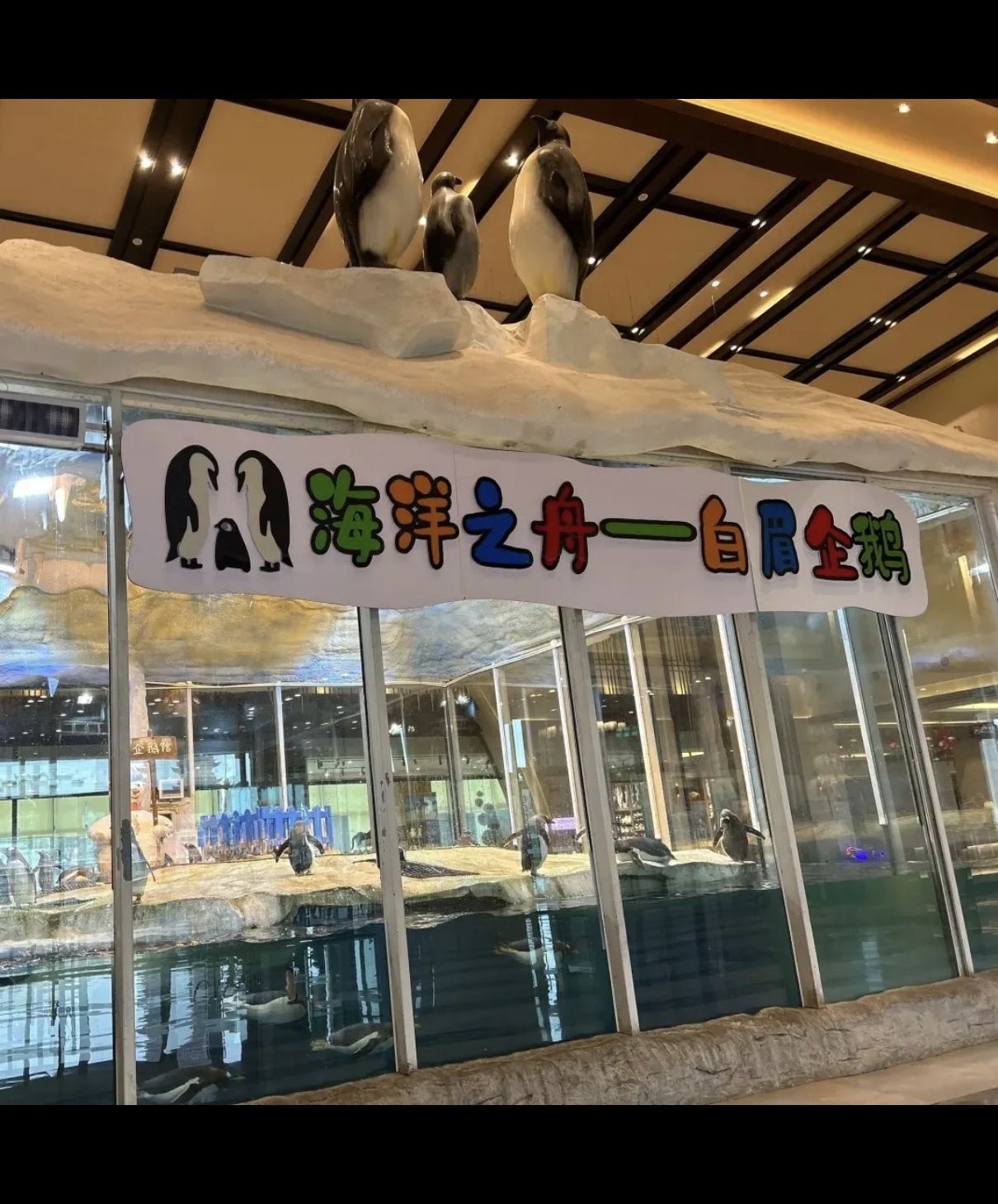 龙之梦企鹅馆旅行图片 2