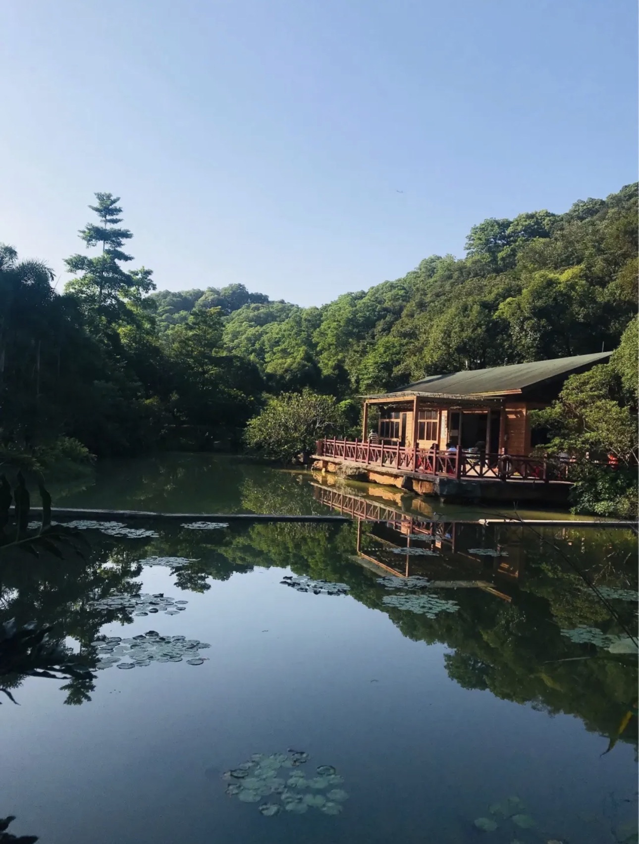 云溪公园旅行图片 3