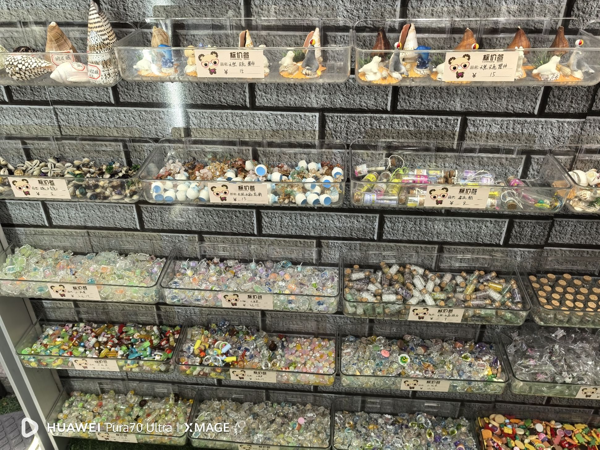上海贝壳工艺品