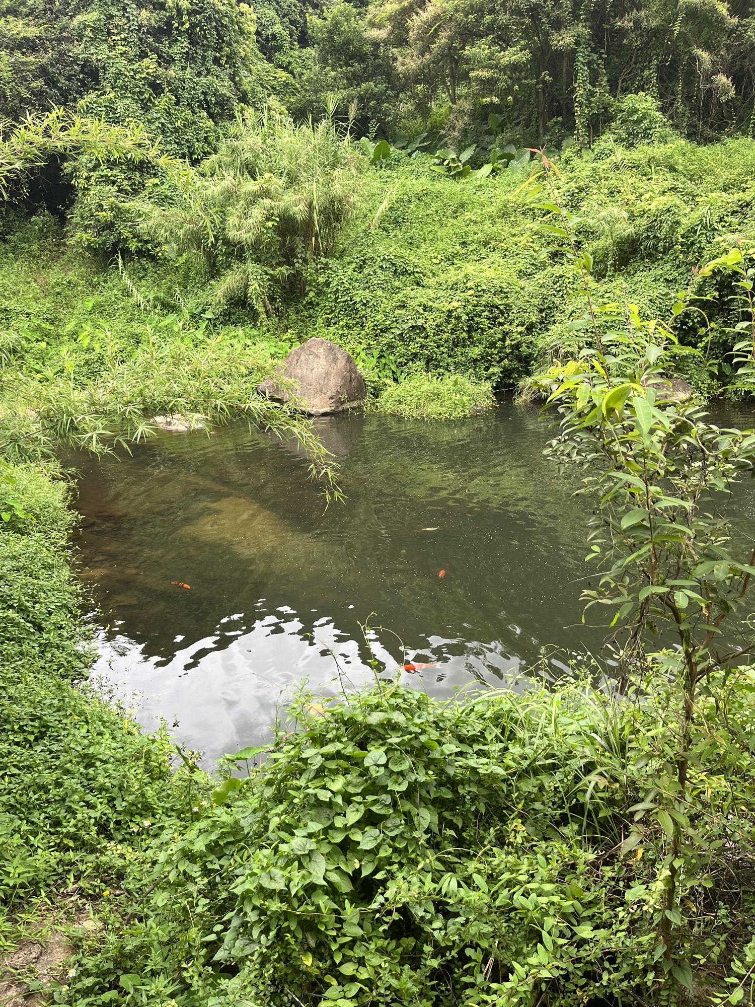 银河瀑旅行图片 3