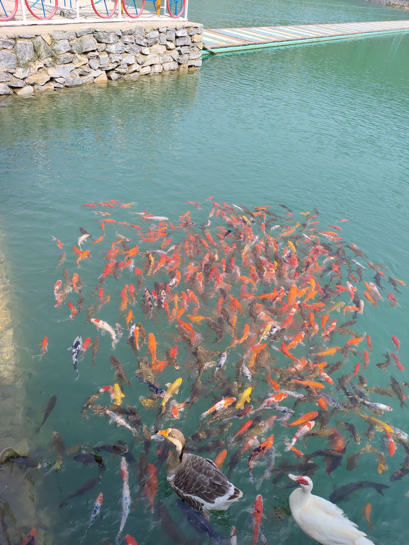 卧虎山田园旅游区旅行图片 1