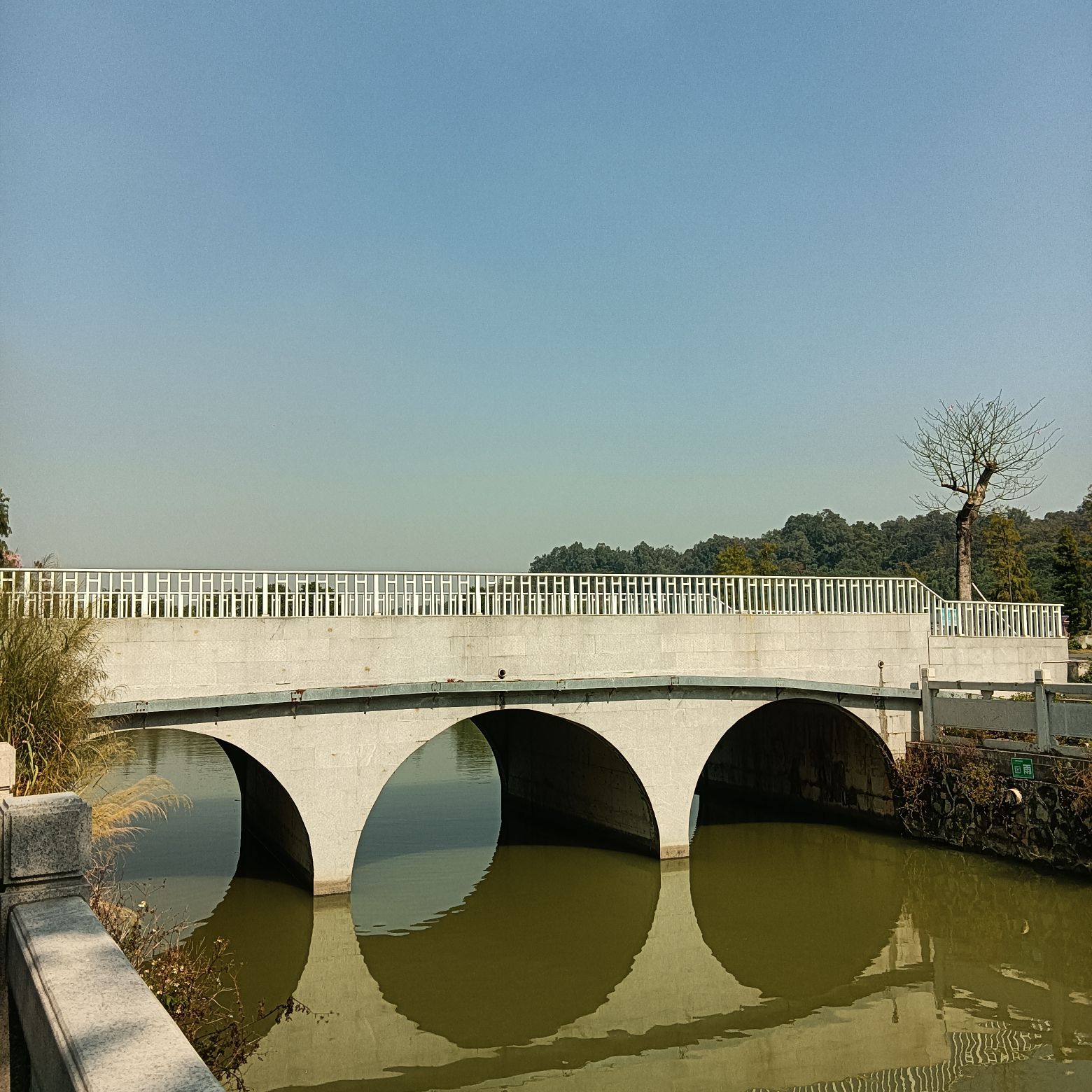 清湖公园旅行图片 2
