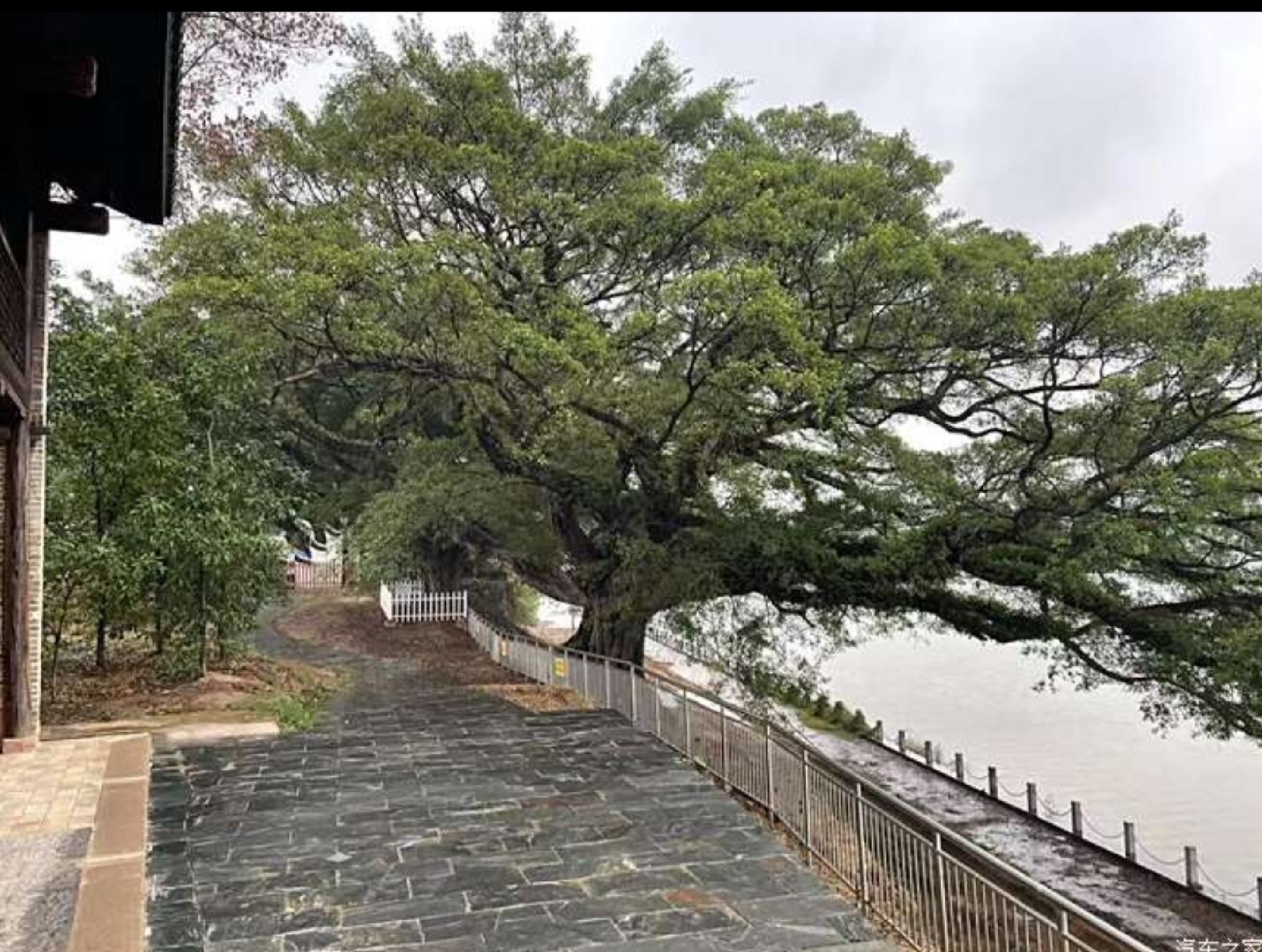 山峰坝香樟园旅行图片 1
