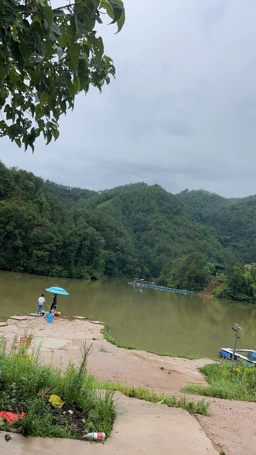 山峰坝香樟园旅行图片 3