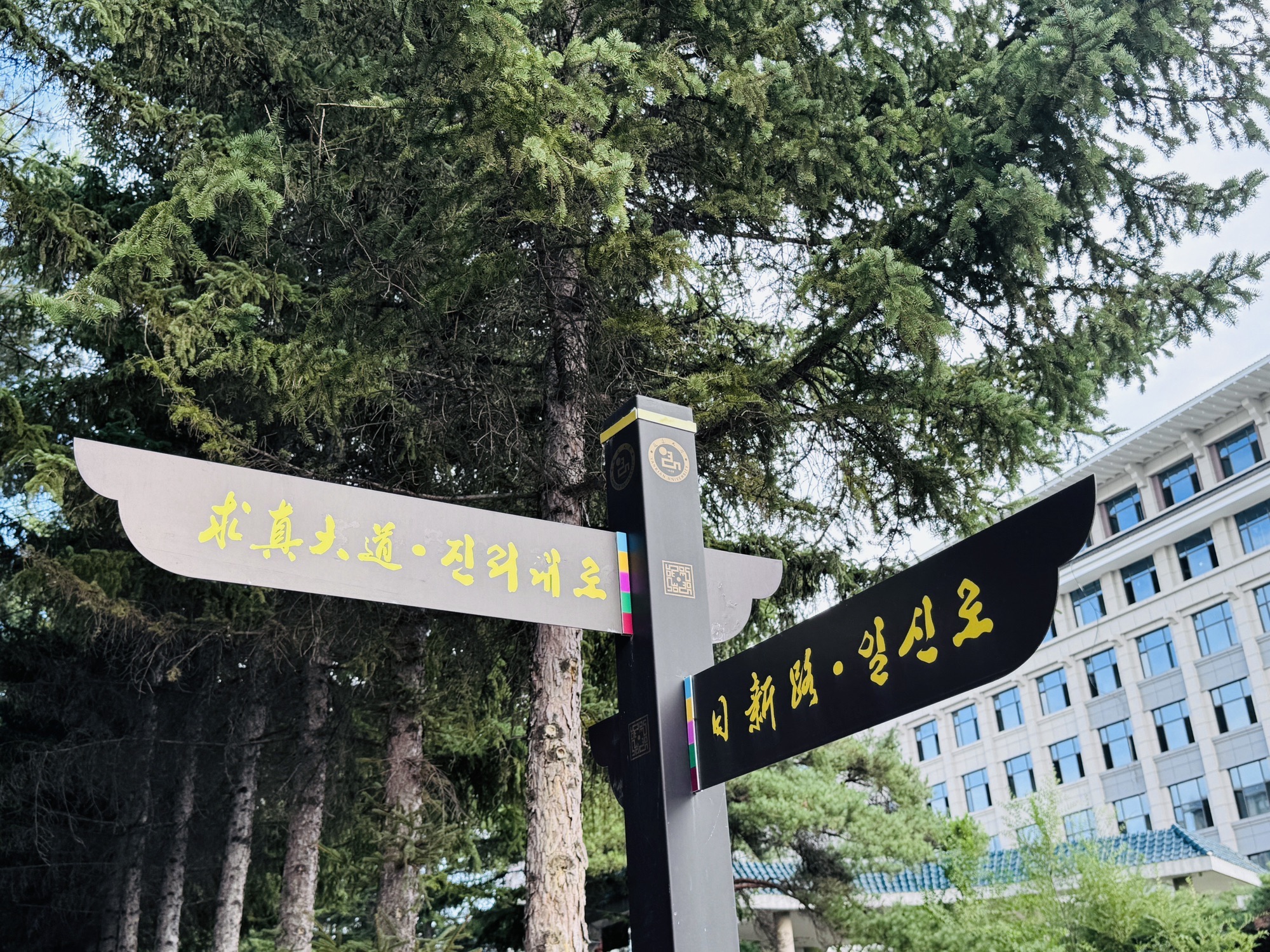 延边大学网红弹幕墙旅行图片 2