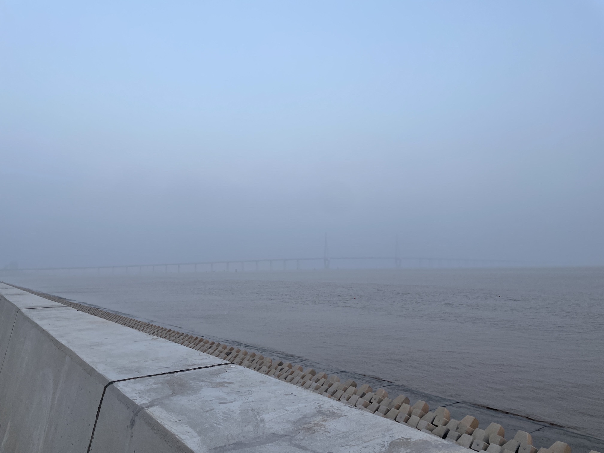 海盐大风车旅行图片 2
